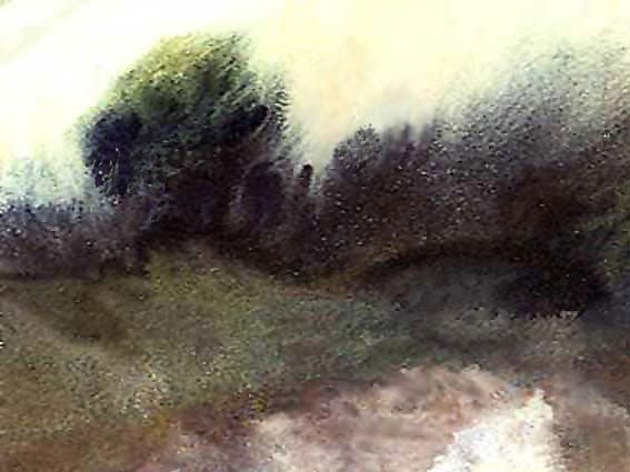 Forêt